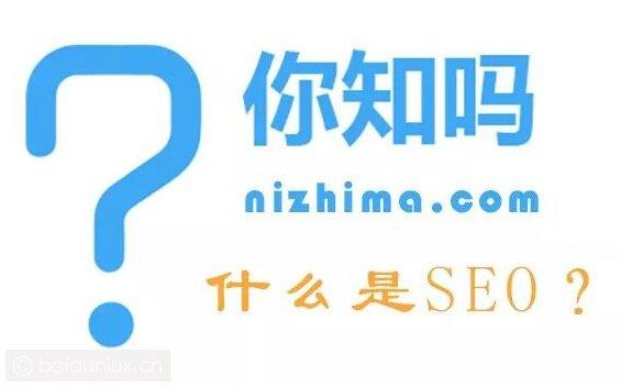 上海seo公司-網(wǎng)站優(yōu)化推廣外包服務(wù)