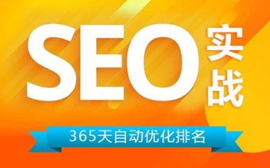 上海seo培訓(xùn)班,真實(shí)網(wǎng)站優(yōu)化,培養(yǎng)實(shí)戰(zhàn)seo優(yōu)化人才