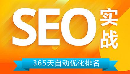 上海seo優(yōu)化實戰(zhàn)班