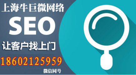 新網站SEO優(yōu)化無從入手,上海牛巨微網絡科技有限公司帶你實現從無到有