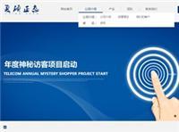 專業網站開發價格